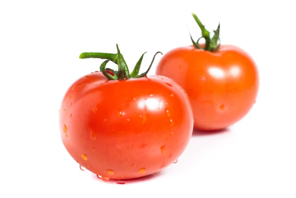 Rote Tomate Gemüse isoliert auf weißem Hintergrund — Stockfoto