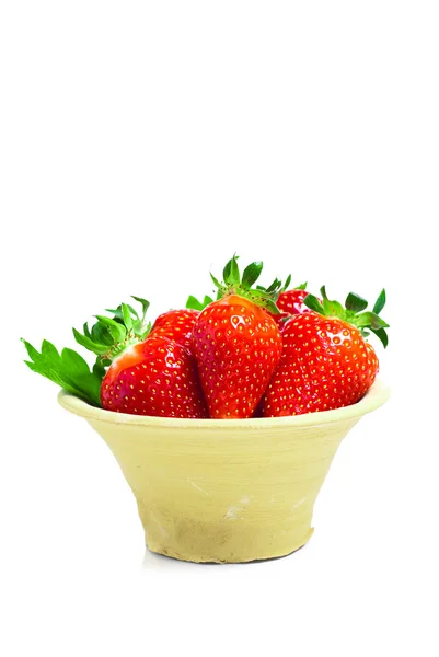 Fresh strawberry fruits with green leaves — Stock Photo, Image