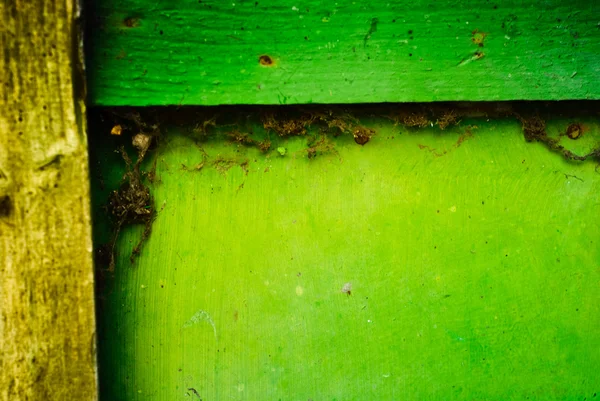 Фон зеленой древесины — стоковое фото