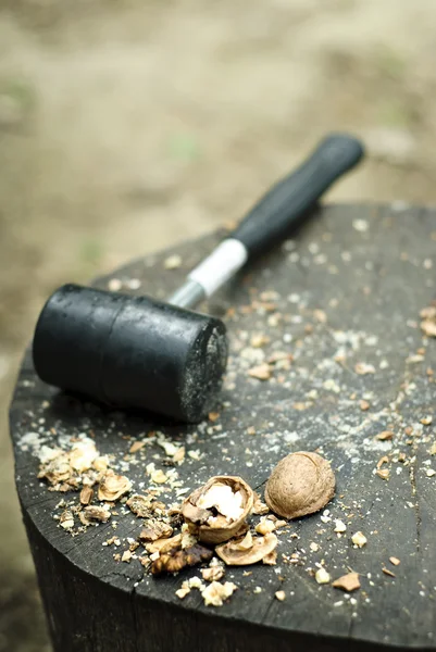 Nueces — Foto de Stock