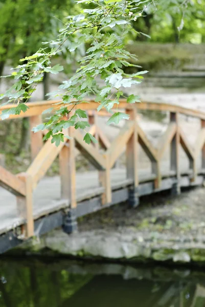 Wood bridge in forest — Stock Photo, Image
