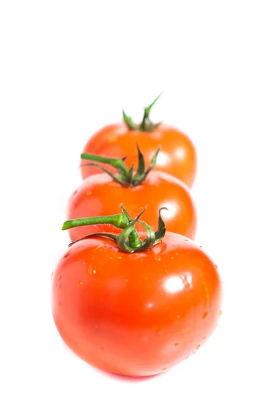 Red tomato vegetable isolated on white background — Stock Photo, Image