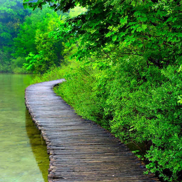 Boardwalk in the park — Stock Photo, Image