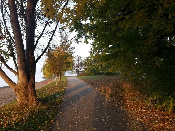 Paseo matinal — Foto de Stock