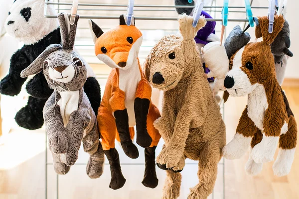 Plush animals hanging after washing — Stock Photo, Image