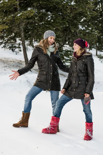 Two smiling friends in winter jackets countryside — Stock Photo, Image
