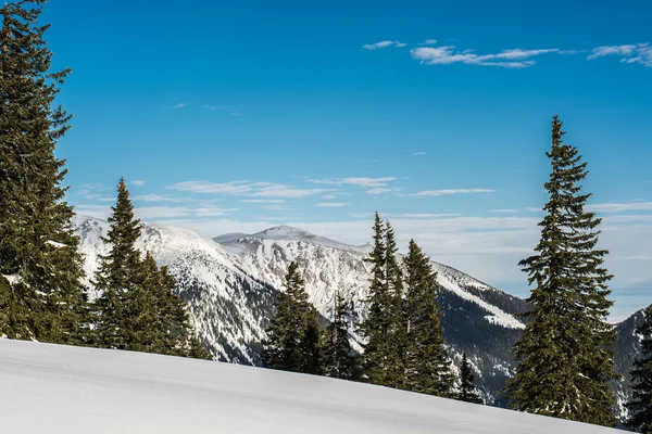 Beautiful winter landscape in the mountains — Stock Photo, Image