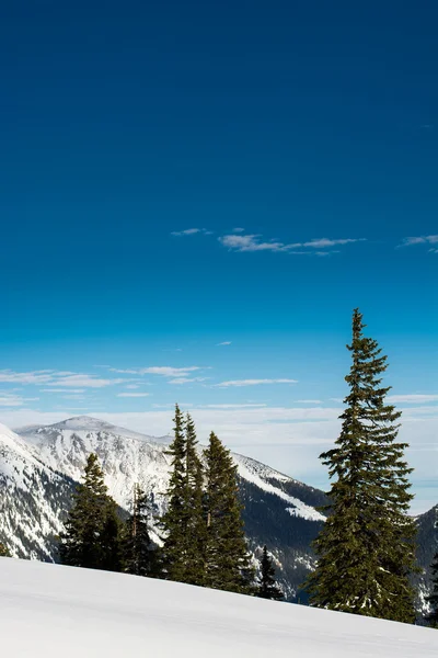 Beautiful winter landscape in the mountains — Stock Photo, Image