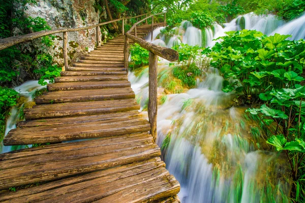 Boardwalk in the park — Stok fotoğraf