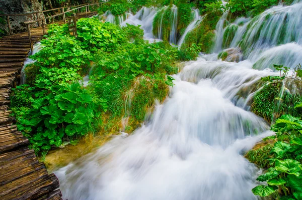 Passerella nel parco — Foto Stock