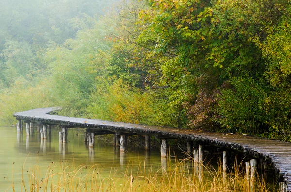 Boardwalk in the park — Stok fotoğraf