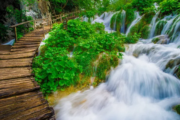 Boardwalk in the park — Stok fotoğraf