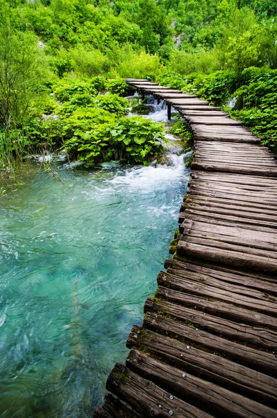 Boardwalk in the park — Stok fotoğraf