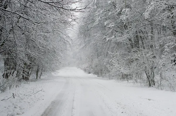 Snow covered winter road — Stock Photo, Image