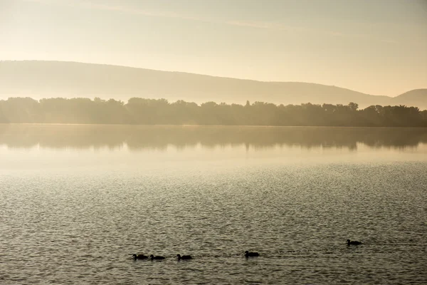 Zonsopgang op een mistige bergmeer — Stockfoto