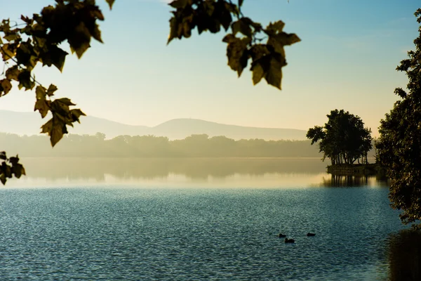 Salida del sol en un lago de montaña brumoso — Foto de Stock