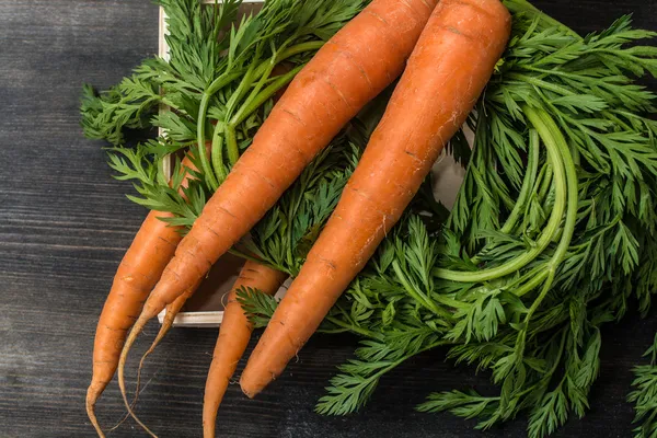 Fresh Organic Carrots on wooden background — Stock Photo, Image