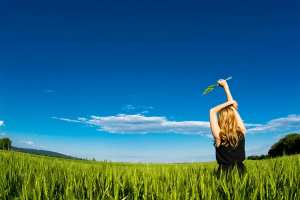 밀밭에 서 있는 여자 — 스톡 사진