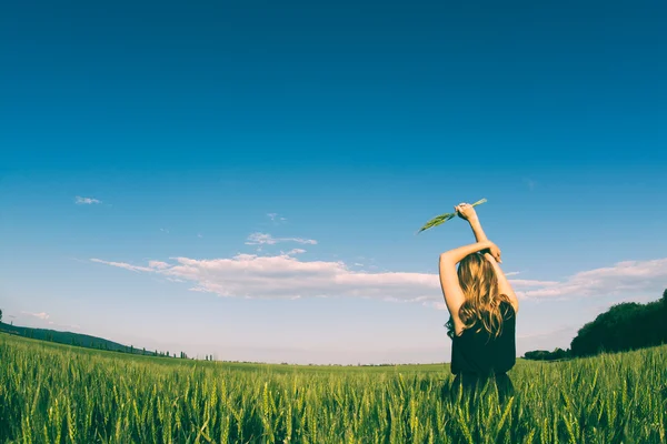 Blonde wman holding wheat. Freedom in the nature stock image. — Stock Photo, Image