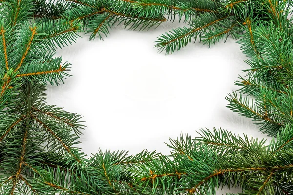 Branches de pin avec des ornements de Noël sur blanc — Photo