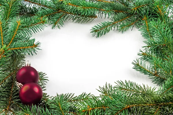 Ramas de pino con adornos navideños en blanco — Foto de Stock