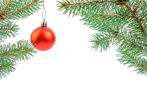 Pine grenar med christmas ornament på vit — Stockfoto
