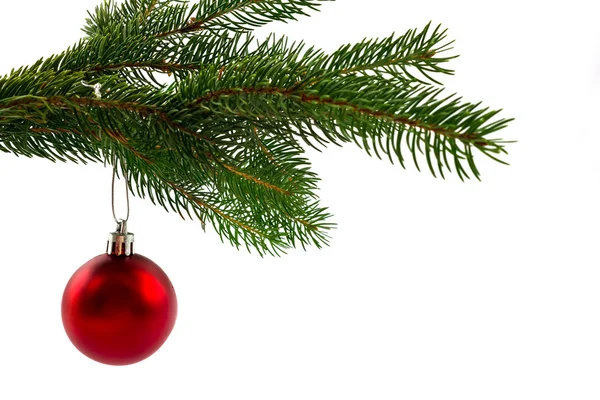 Tannenzweige mit Weihnachtsschmuck auf weißem Grund — Stockfoto