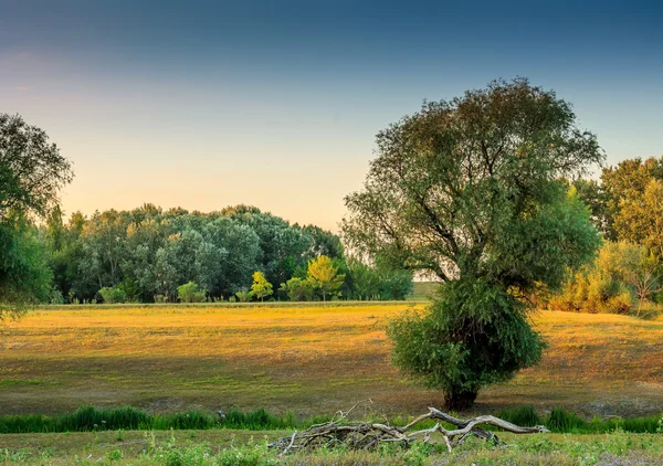 nehir manzara Macaristan ağaçlık
