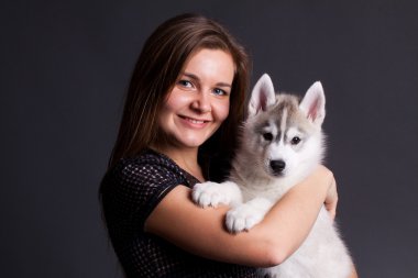 Husky yavrusu