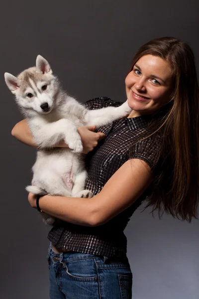 Husky puppy — Stock Photo, Image