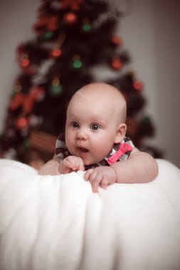Noel ağacı zemin üzerine küçük bebek portresi