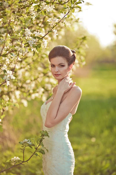 Portrait of a beautiful brunette bride — Stock Photo, Image