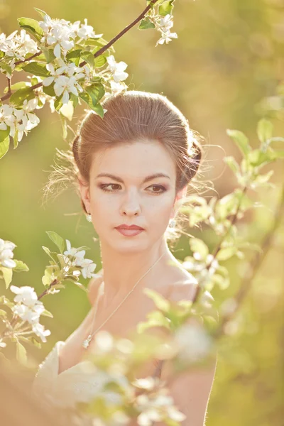 Portrait of a beautiful brunette bride — Stock Photo, Image