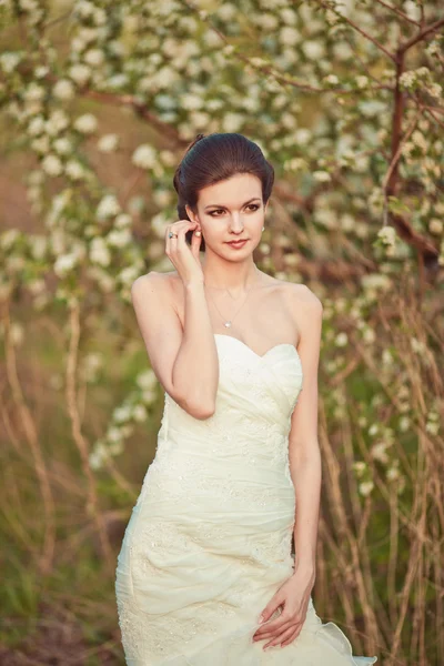 Portrait of a beautiful brunette bride — Stock Photo, Image