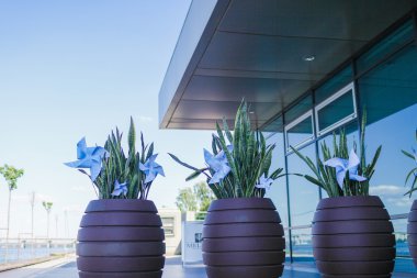 oyuncak yel değirmenleri ile çiçek saksı