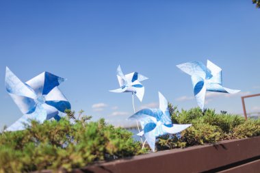 oyuncak yel değirmenleri ile çiçek saksı