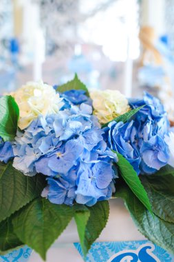 mavi beyaz ortanca Tablo ayarı