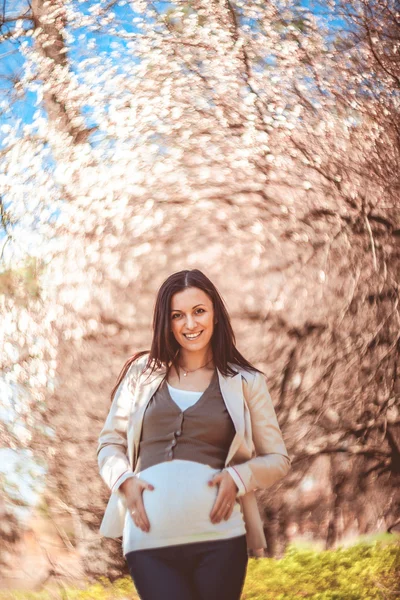 Mujer embarazada. — Foto de Stock