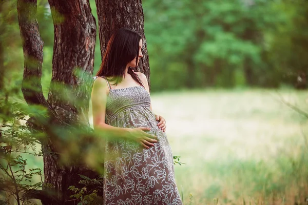 Femme enceinte — Photo