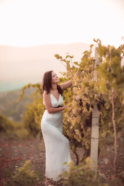 Mujer posando en un viñedo —  Fotos de Stock