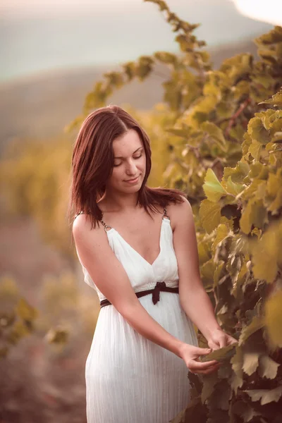 Frau posiert in einem Weinberg — Stockfoto