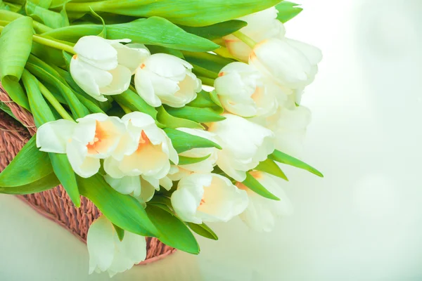 Beautiful tulips in basket — Stock Photo, Image