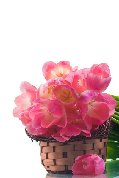 Bright flowers in basket — Stock Photo, Image