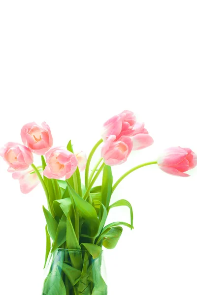 Beautiful tulips in glass vase — Stock Photo, Image