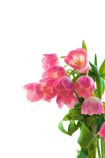 Bellissimi tulipani rosa in vaso di vetro — Foto Stock
