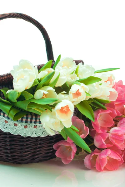 Красивые тюльпаны в корзине — стоковое фото