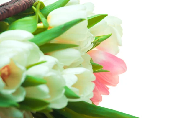 Schöne Tulpen im Korb — Stockfoto