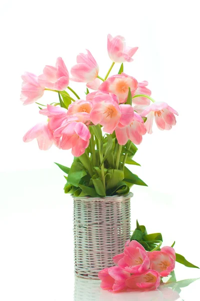Bei tulipani nel cesto — Foto Stock