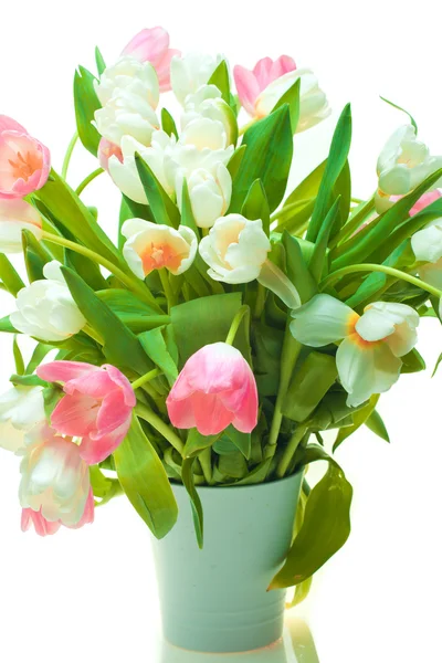 Beautiful tulips in pot — Stock Photo, Image