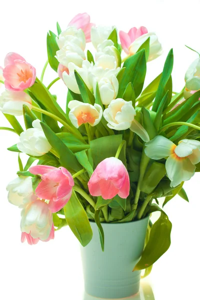 Beautiful tulips in pot — Stock Photo, Image